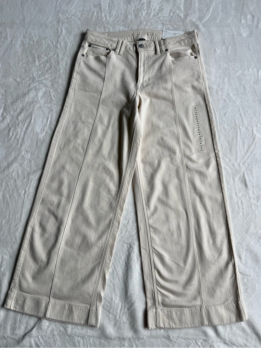 American Eagle Outfitters Low-Rise Baggie Wide Leg Trousers/ Jeans NWT